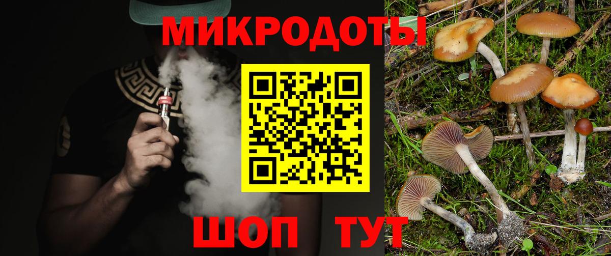 Псилоцибиновые грибы прущие грибы Лесной