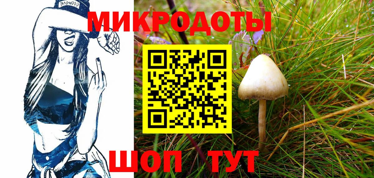 Псилоцибиновые грибы прущие грибы  Галлюциногенные грибы Psilocybe  Лесной  Вход с VPN 